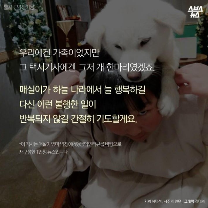 가족같은 강아지의 죽음(추가)