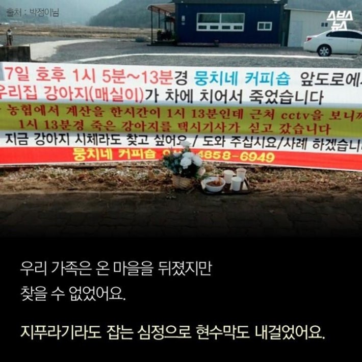 가족같은 강아지의 죽음(추가)