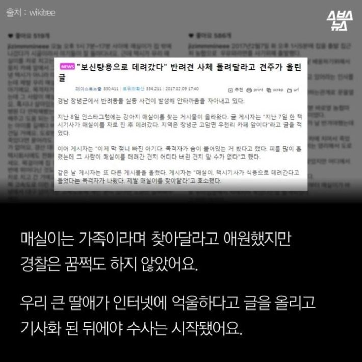 가족같은 강아지의 죽음(추가)