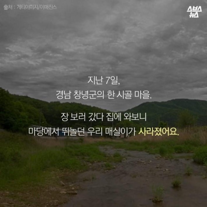 가족같은 강아지의 죽음(추가)