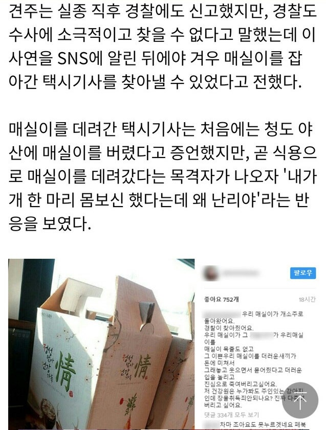 가족같은 강아지의 죽음(추가)