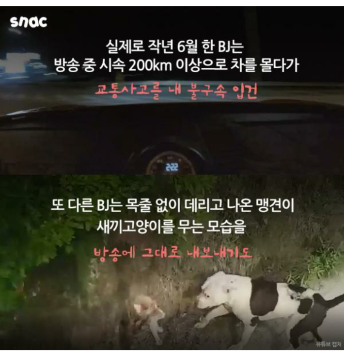 도를 넘는 유튜브 BJ들