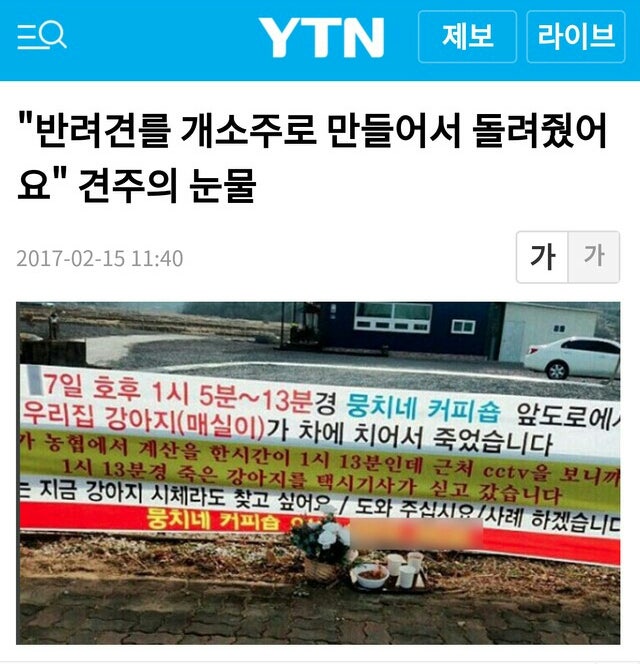 가족같은 강아지의 죽음(추가)