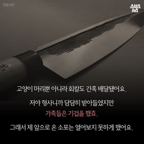 조폭과 싸운 마누라