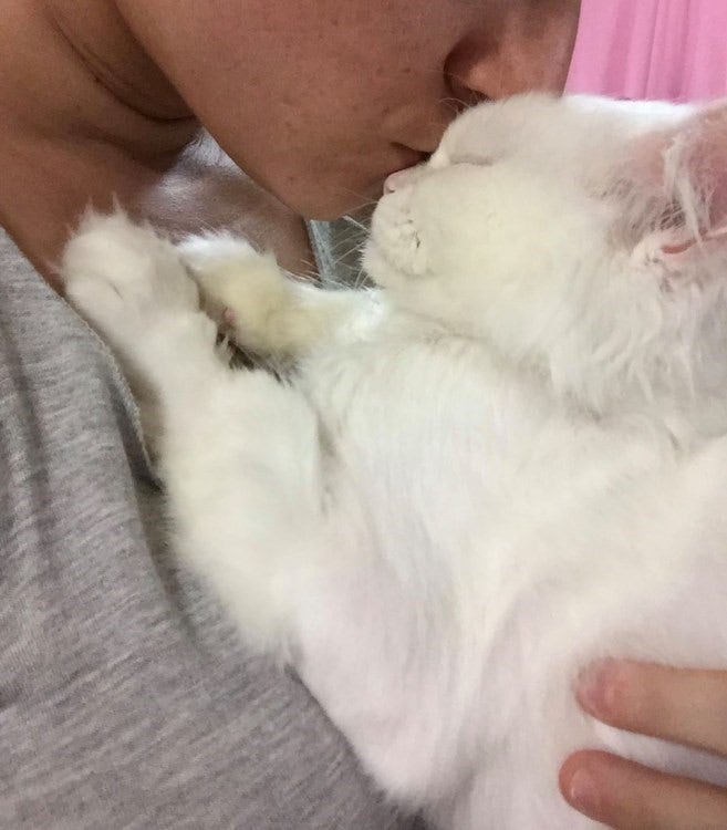 유기묘  주인을 만난 후