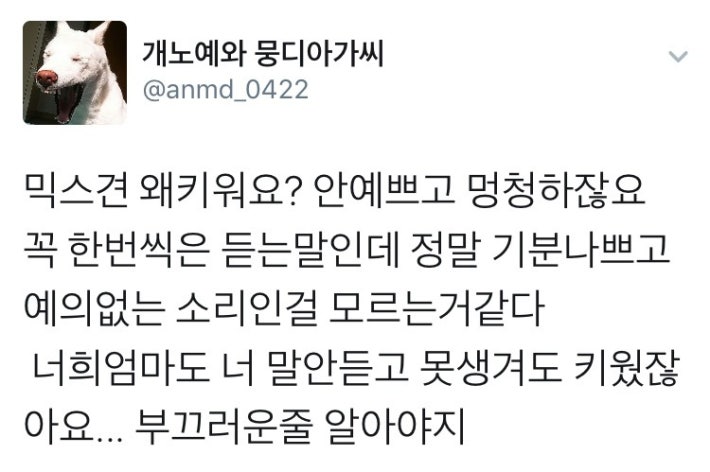 남의 강쥐한테 왈가불가 하는 사람들아..