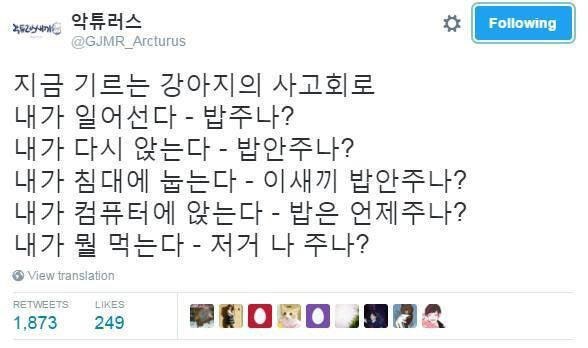 개가 나만 바라 보는 이유