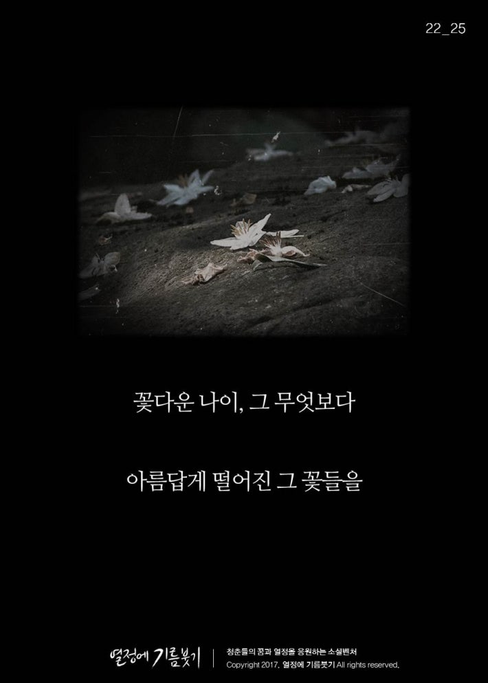 누나의 보따리