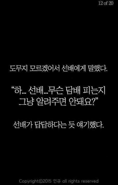 선배의 가르침