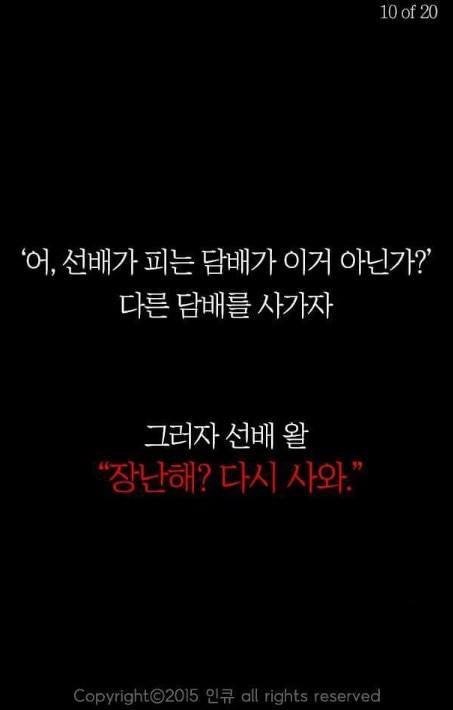 선배의 가르침