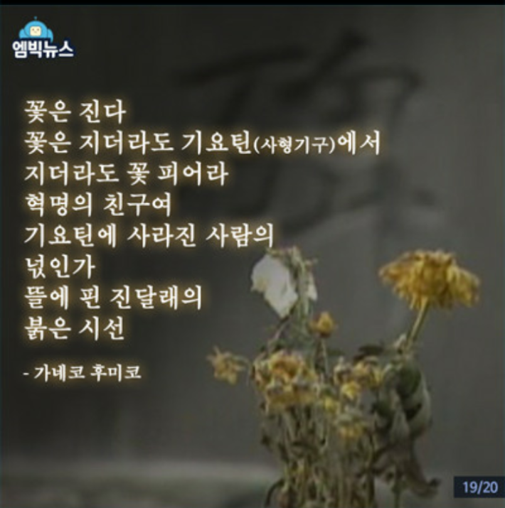 조국보다 대한독립이 더 중요했던 일본 여인