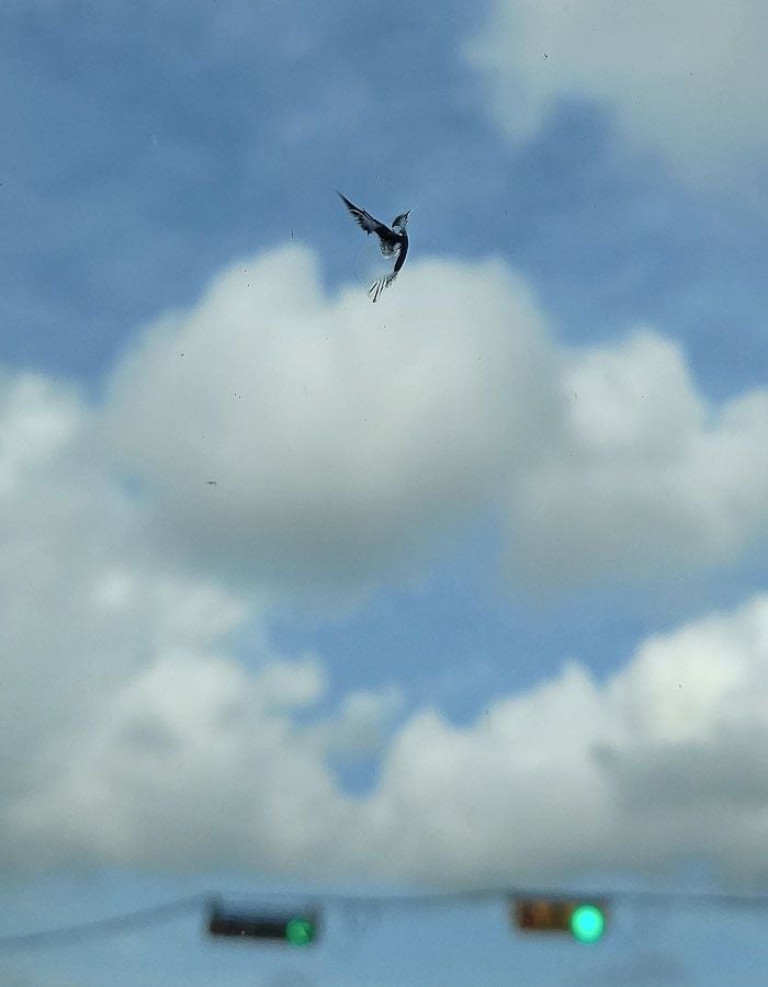 포토샵 안쓴 진짜 풍경 사진들