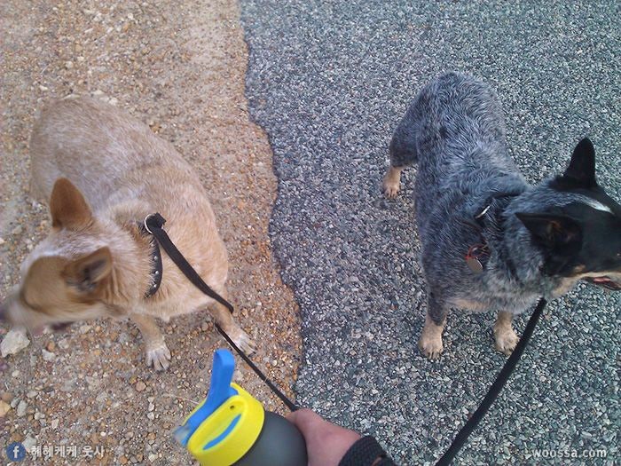 포토샵 안쓴 진짜 풍경 사진들