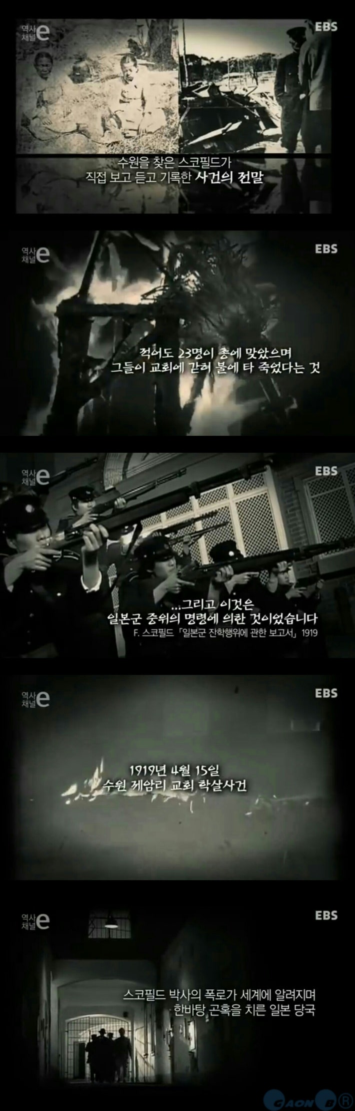 강자에겐 호랑이처럼 약자에겐 비둘기처럼