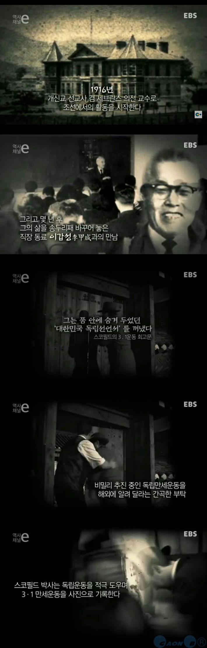 강자에겐 호랑이처럼 약자에겐 비둘기처럼