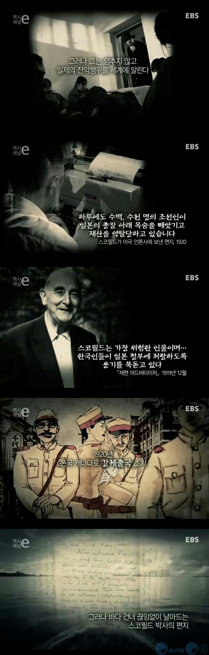 강자에겐 호랑이처럼 약자에겐 비둘기처럼