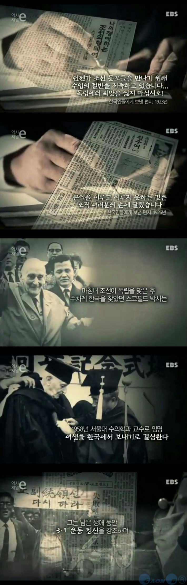 강자에겐 호랑이처럼 약자에겐 비둘기처럼