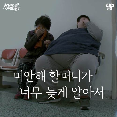 미안해 할머니가 너무 늦게 알아서