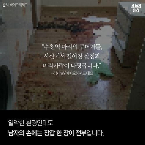 매일 죽음을 지우는 남자