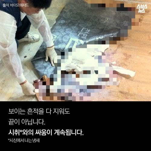 매일 죽음을 지우는 남자