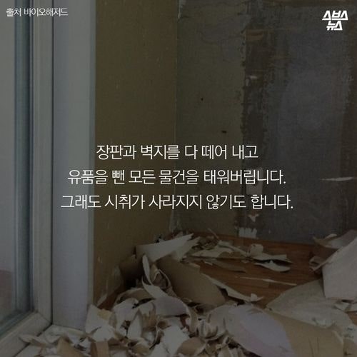 매일 죽음을 지우는 남자