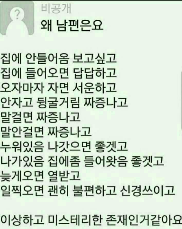 미스터리한 존재