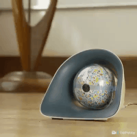ball_camera.gif