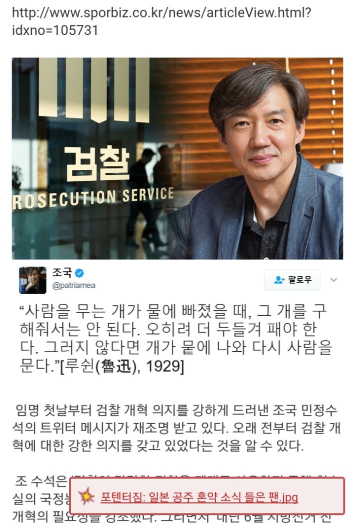 조국:사람을 무는 개가 물에 빠졌을 땐