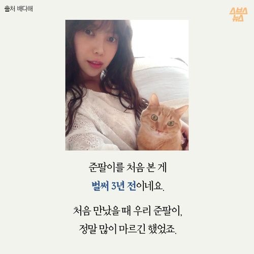 고양이 확대범을 잡았습니다