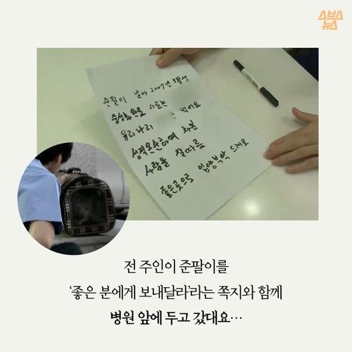 고양이 확대범을 잡았습니다