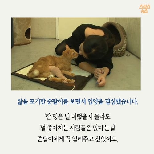 고양이 확대범을 잡았습니다
