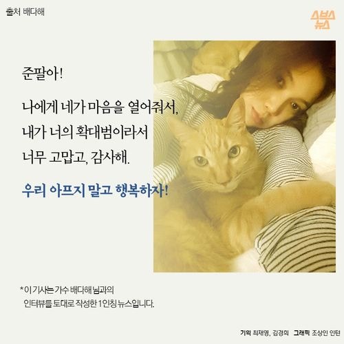 고양이 확대범을 잡았습니다