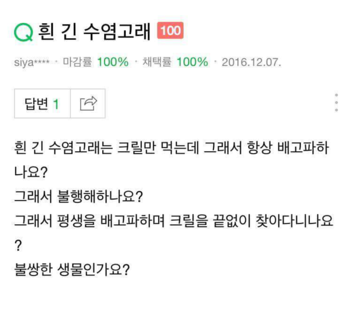 우문에 슬픈 현답