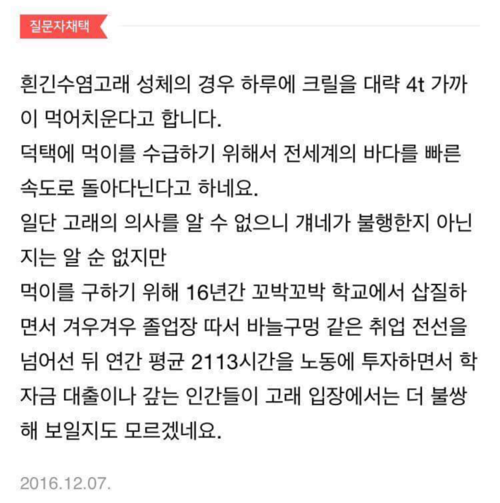 우문에 슬픈 현답