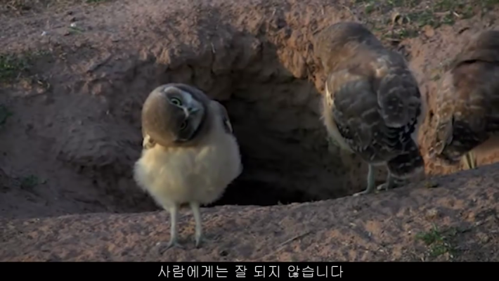 상대방과의  거리를 재는 꿀팁