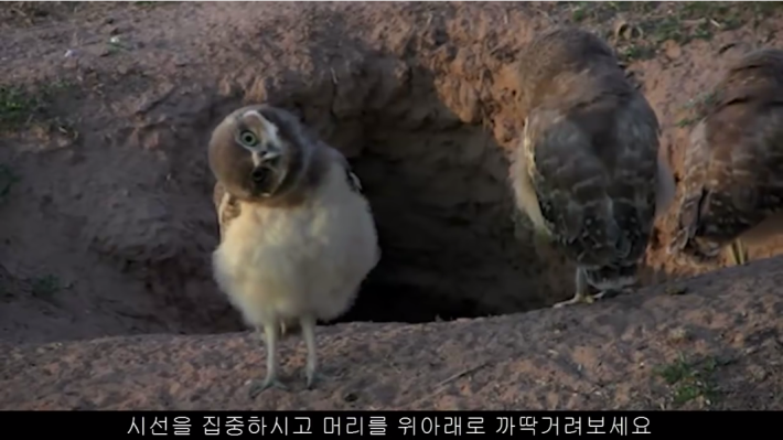 상대방과의  거리를 재는 꿀팁