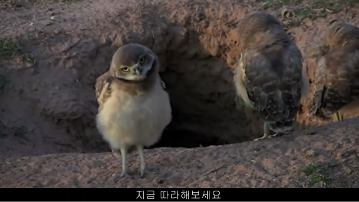 상대방과의  거리를 재는 꿀팁