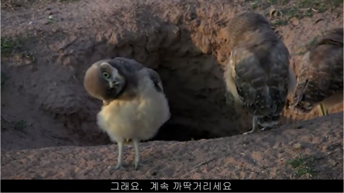 상대방과의  거리를 재는 꿀팁
