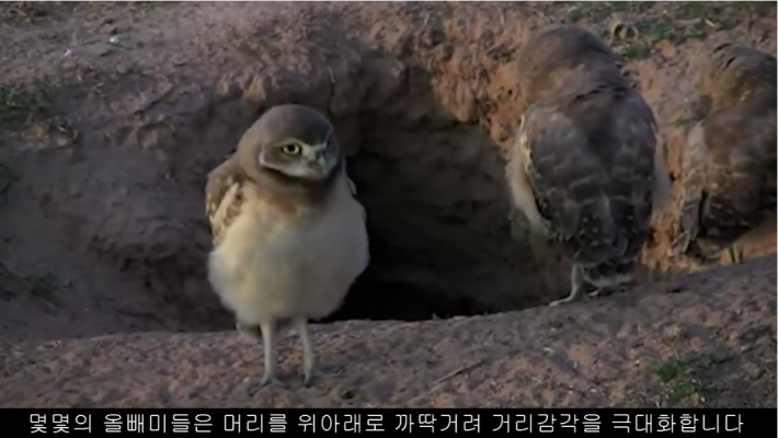 상대방과의  거리를 재는 꿀팁