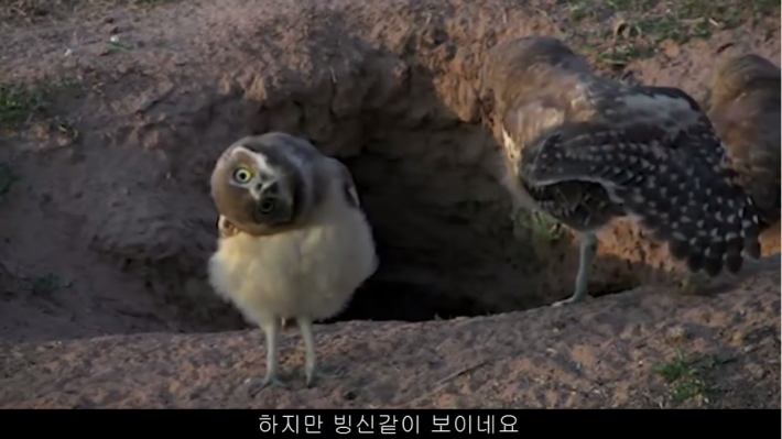 상대방과의  거리를 재는 꿀팁