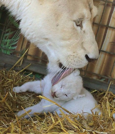 얘 꼴이 이게 뭐니