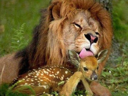 얘 꼴이 이게 뭐니