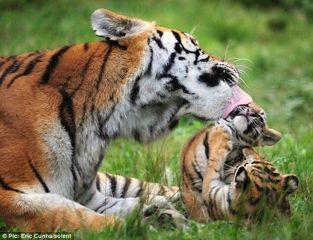 얘 꼴이 이게 뭐니