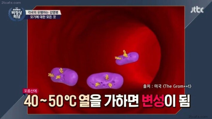 모기 물렸을때...