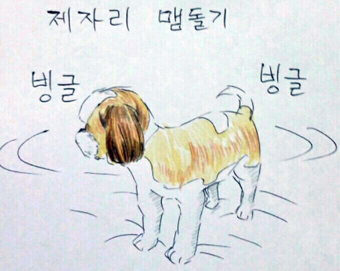 여름 필수품은?