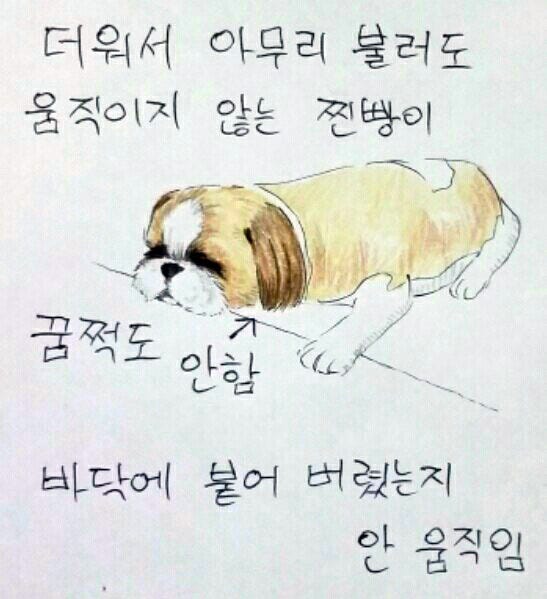 여름 필수품은?