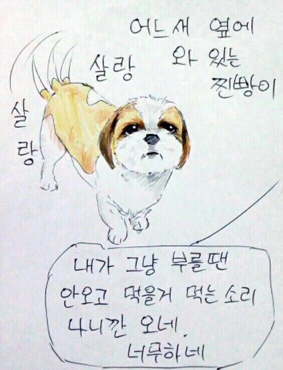 여름 필수품은?