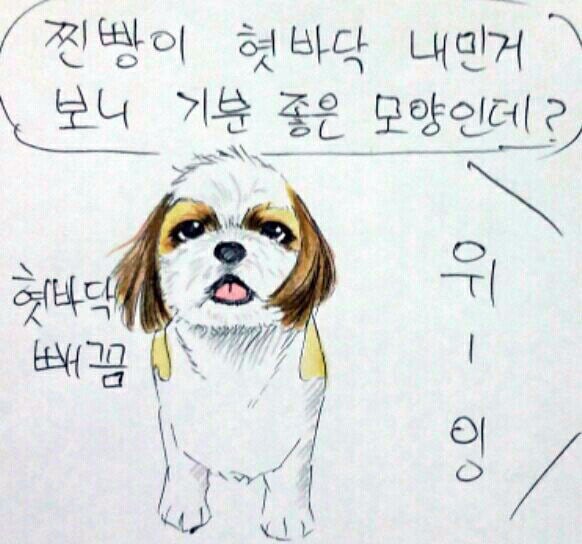 여름 필수품은?