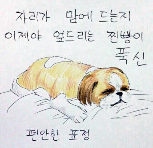 여름 필수품은?