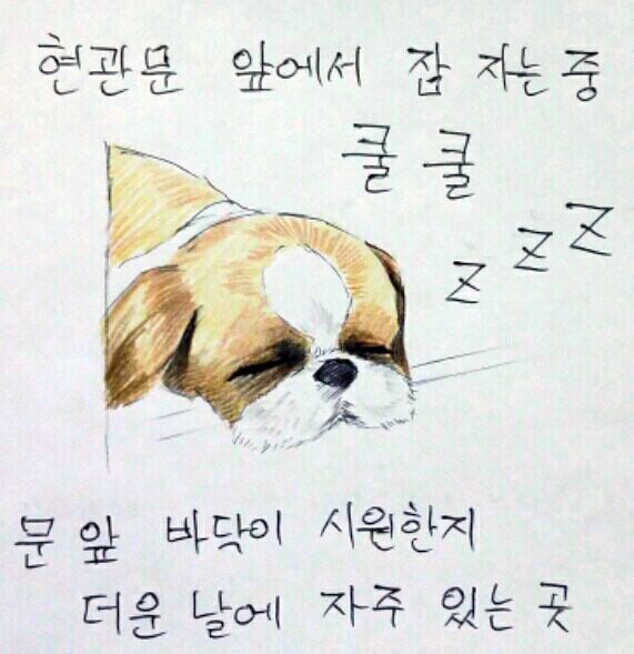 여름 필수품은?